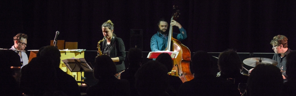 Trish Clowes and Calum Gourlay performing at Fleet Jazz on 18th April 2017. Photograph courtesy of David Fisher (Aldershot, Farnham & Fleet Camera Club)